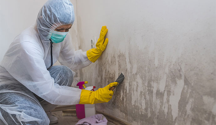 The Hidden Dangers of Mold After Water Damage