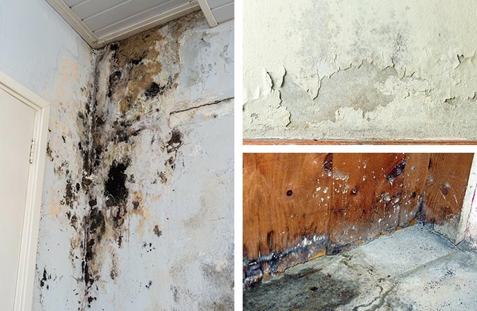 collage of different types of water damage