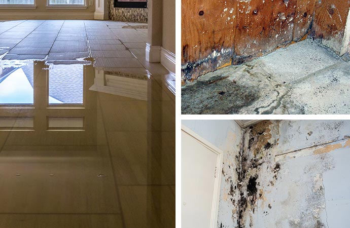 water damage on the floor, black mold on the wall, and structural damage to the house,