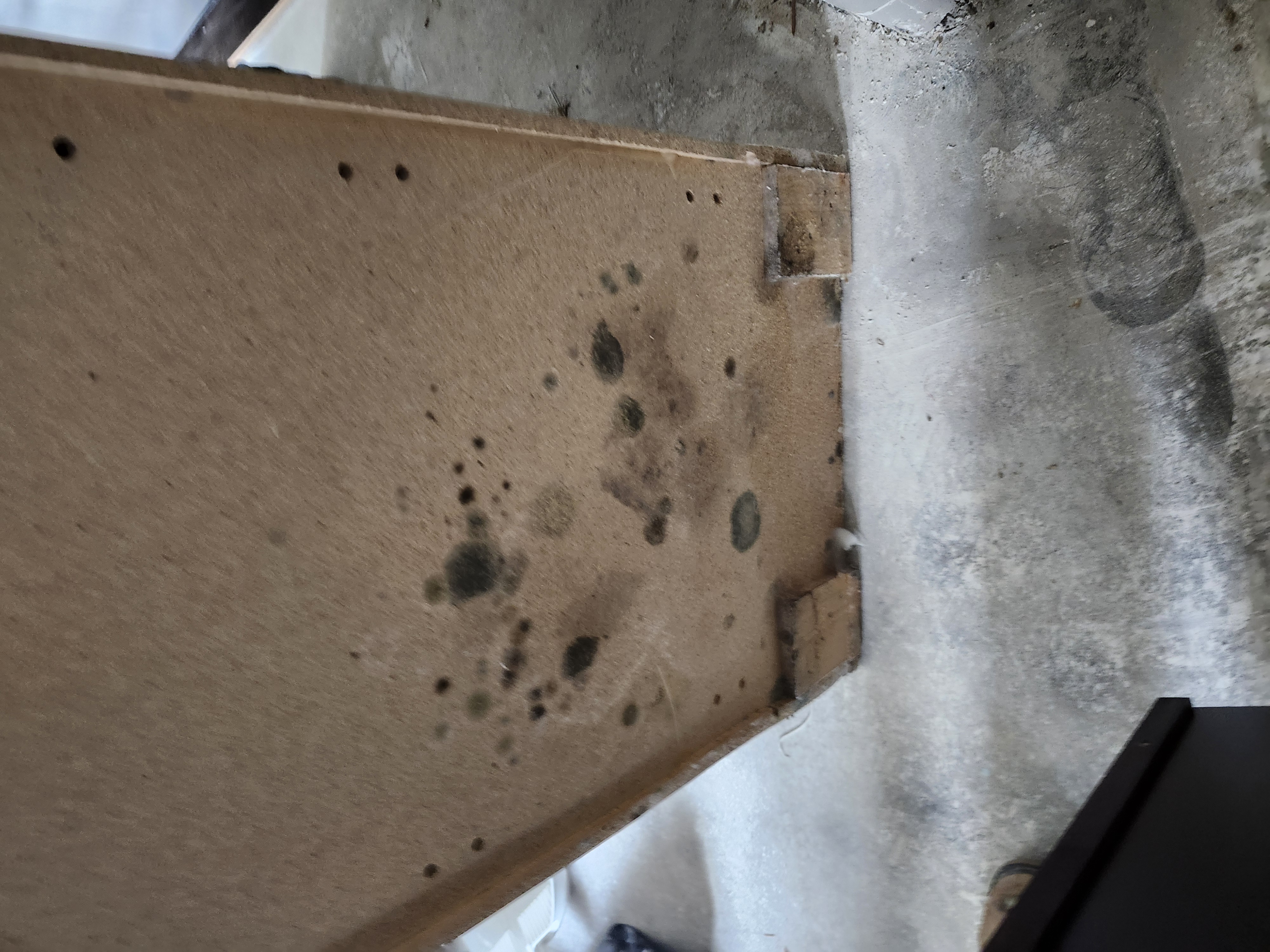 Mold on the underside of the cabinet