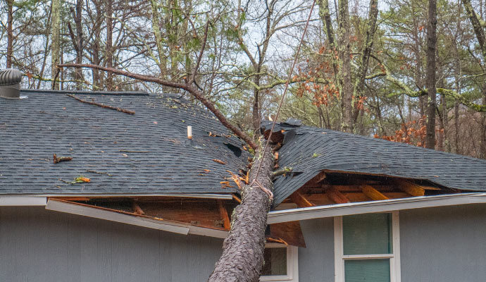  A large tree has fallen onto the roof of a house